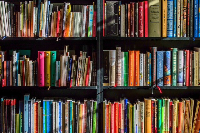 Publications & Blogs